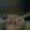 Perfil de joeone