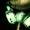 Perfil de cheo