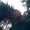 Perfil de imer
