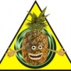 Perfil de KalamardoGambino