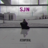 Perfil de SJN