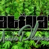 Perfil de SativaInc