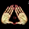 Perfil de Flavor Fingers