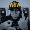 Perfil de Pitbulking