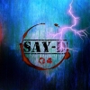Perfil de Say-D04