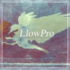 Perfil de LlowPro
