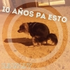 Perfil de Brian Rulezz