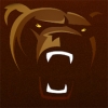 Perfil de Bears Estudios