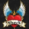 Perfil de nivek