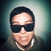 Perfil de ZD
