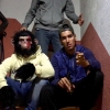 Perfil de Shadow Monkey'Z