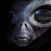 Perfil de GoldBrain