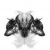 Perfil de ArionSpero
