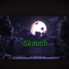 Perfil de skauch
