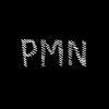 Perfil de PMN