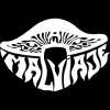 Perfil de Anwar Malviaje