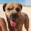 Perfil de Ibrastyle