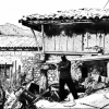Perfil de Mostru l'Horru