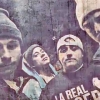 Perfil de Fame Apianta