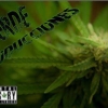 Perfil de Verde Producciones