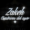 Perfil de Samuel Zakeh
