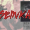 Perfil de Seinka