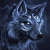 Perfil de Animal