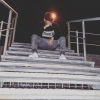 Perfil de Enol