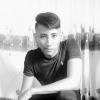 Perfil de Lanzer