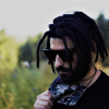 Perfil de FTN