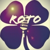 Perfil de Roto