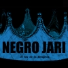 Perfil de negrojari