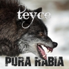 Perfil de Teyce