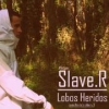 Perfil de Slave.R