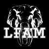 Perfil de LFAM Madrid
