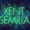 Perfil de XentSemilla
