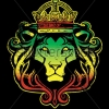 Perfil de Lion Rap