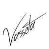 Perfil de vasseta