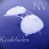 Perfil de navu