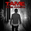 Perfil de TAME