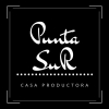 Perfil de PUNTA SUR MX