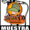 Perfil de RulazCoplaz