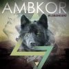 Perfil de AMBKOR