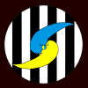 Perfil de seliche