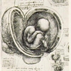 Perfil de ilustramenmetafora 