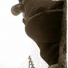 Perfil de MsideProduce