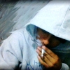 Perfil de vision db