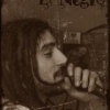 Perfil de palonegro