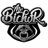 Perfil de Mr.BichoR