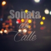 Perfil de SONATA DE CALLE